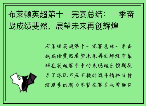 布莱顿英超第十一完赛总结：一季奋战成绩斐然，展望未来再创辉煌
